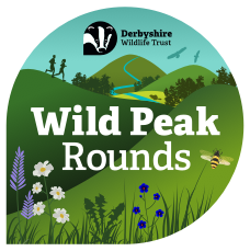Wild Peak Rounds