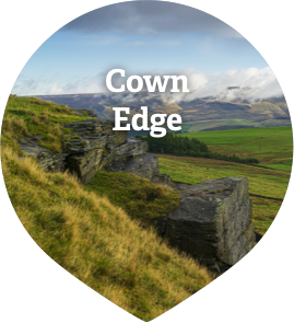 Cown Edge