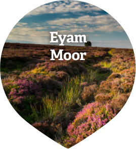 Eyam Moor